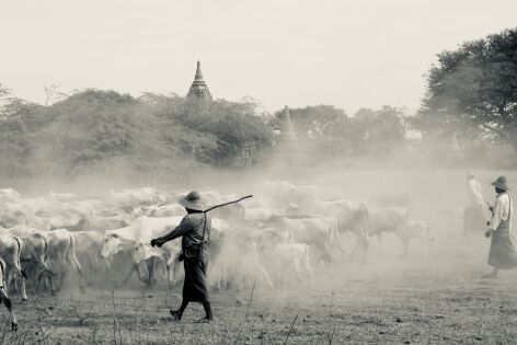  Myanmar (Bagan)