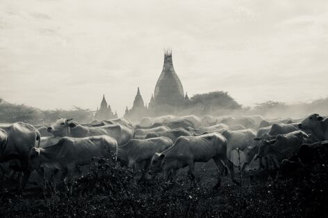 Myanmar (Bagan)