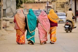  Copines à Fathpur au Rajasthan (Inde) 