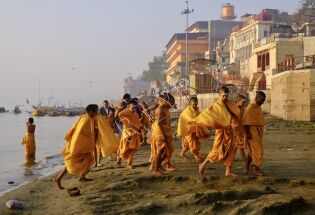 Moinillons espiègles à Varanasi (Inde)