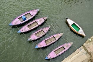  Barques Roses à Varanasi (Inde)