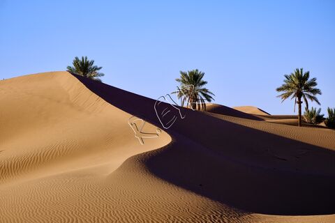  Le désert du MAHMID (Maroc)